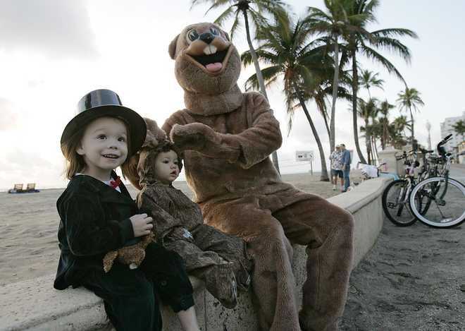 Celebrate the 16th Annual Groundhog Day on Hollywood Beach Sun., Feb. 2, 2020