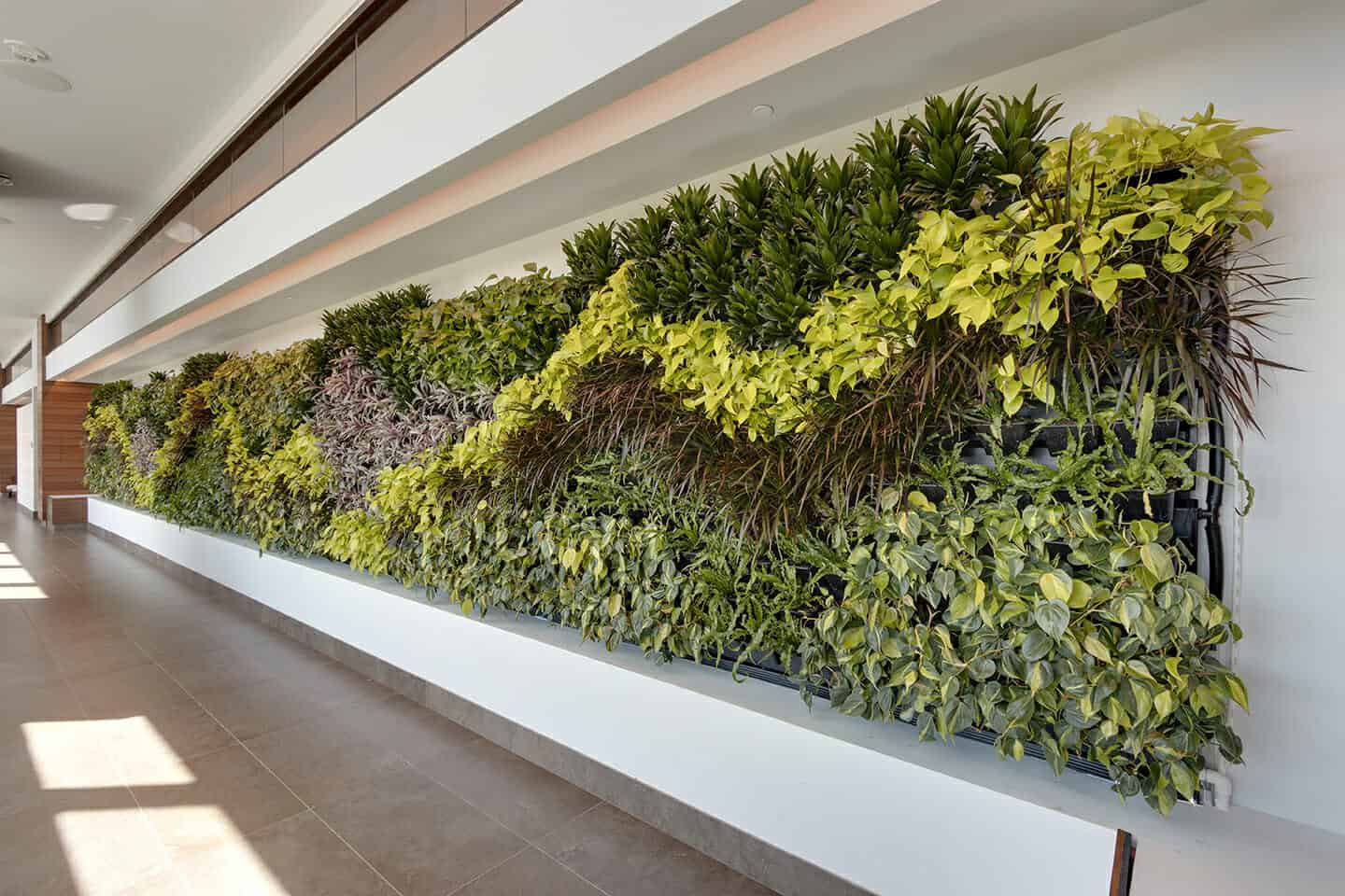 Massive Green Walls, Multiple Plantings Installed at Seminole Hard Rock Hotel & Casino Hollywood